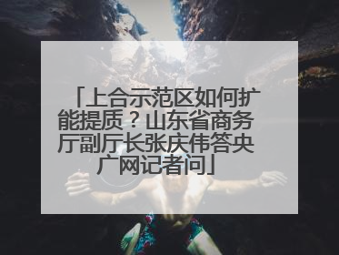 上合示范区如何扩能提质？山东省商务厅副厅长张庆伟答央广网记者问