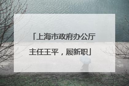 上海市政府办公厅主任王平，履新职