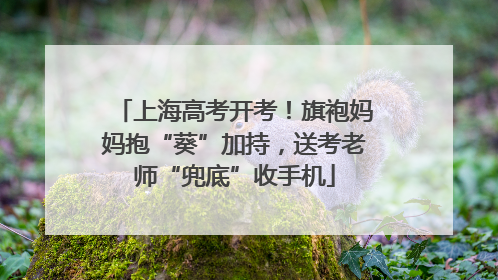 上海高考开考！旗袍妈妈抱“葵”加持，送考老师“兜底”收手机