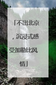 不出北京，沉浸式感受加勒比风情