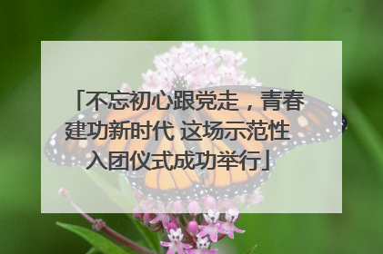 不忘初心跟党走，青春建功新时代 这场示范性入团仪式成功举行