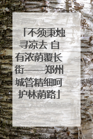 不须秉烛寻凉去 自有浓荫覆长街——郑州城管精细呵护林荫路