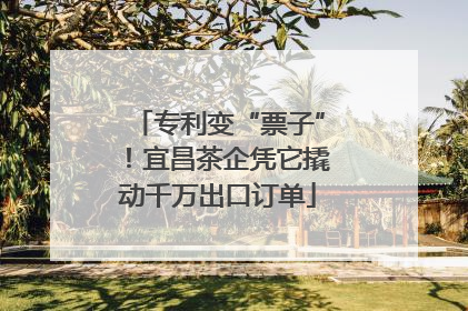 专利变“票子”！宜昌茶企凭它撬动千万出口订单