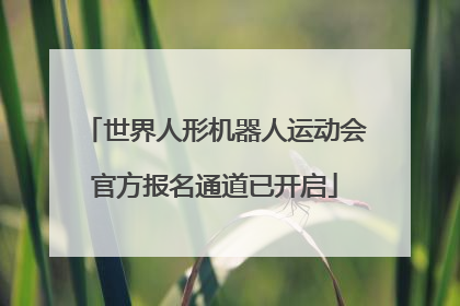 世界人形机器人运动会官方报名通道已开启