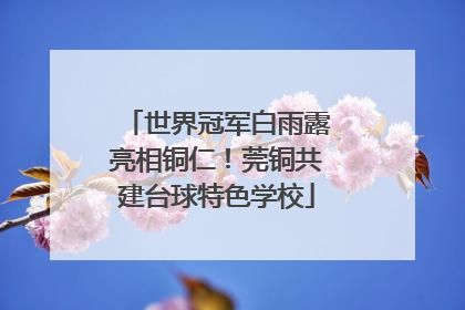 世界冠军白雨露亮相铜仁！莞铜共建台球特色学校