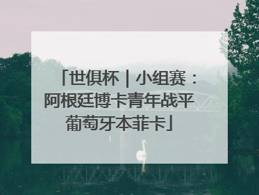 世俱杯｜小组赛：阿根廷博卡青年战平葡萄牙本菲卡