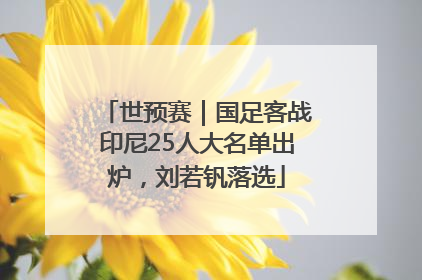 世预赛｜国足客战印尼25人大名单出炉，刘若钒落选