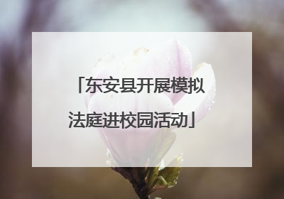 东安县开展模拟法庭进校园活动