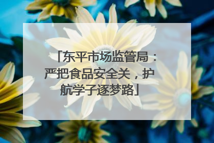 东平市场监管局：严把食品安全关，护航学子逐梦路