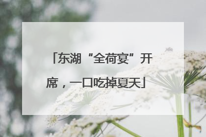 东湖“全荷宴”开席，一口吃掉夏天