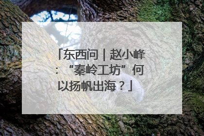 东西问｜赵小峰：“秦岭工坊”何以扬帆出海？