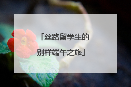 丝路留学生的别样端午之旅