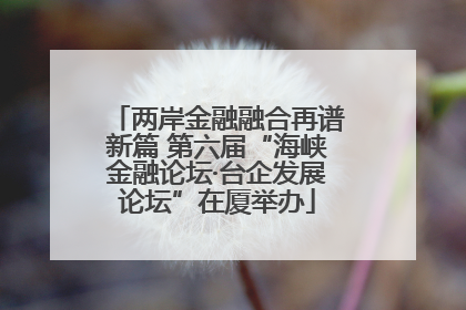 两岸金融融合再谱新篇 第六届“海峡金融论坛·台企发展论坛”在厦举办