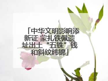 中华文明影响添新证 蒙扎铁佩遗址出土“五铢”钱和斜纹纬锦