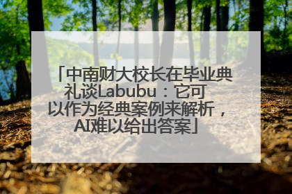 中南财大校长在毕业典礼谈Labubu：它可以作为经典案例来解析，AI难以给出答案