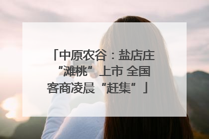中原农谷：盐店庄“滩桃”上市 全国客商凌晨“赶集”