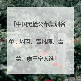 中国男篮公布集训名单，周琦、曾凡博、雷蒙、廖三宁入选