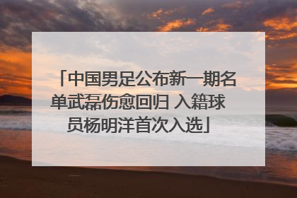 中国男足公布新一期名单武磊伤愈回归 入籍球员杨明洋首次入选