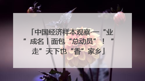 中国经济样本观察·一“业”成名丨面包“总动员”！“走”天下也“香”家乡
