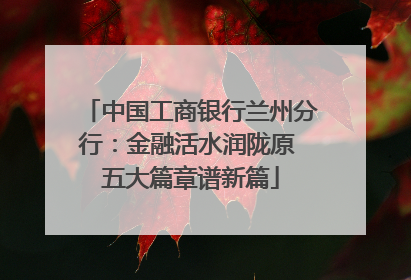 中国工商银行兰州分行：金融活水润陇原 五大篇章谱新篇