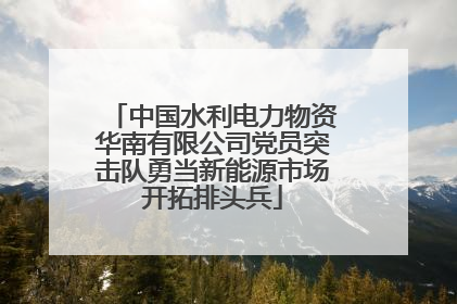 中国水利电力物资华南有限公司党员突击队勇当新能源市场开拓排头兵