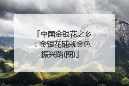 中国金银花之乡：金银花铺就金色振兴路(图)