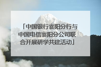 中国银行襄阳分行与中国电信襄阳分公司联合开展研学共建活动