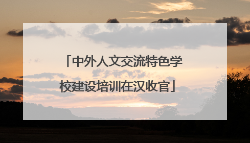 中外人文交流特色学校建设培训在汉收官