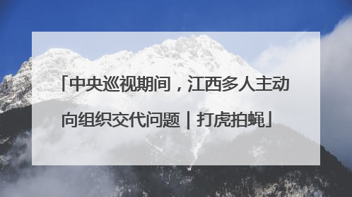 中央巡视期间，江西多人主动向组织交代问题｜打虎拍蝇