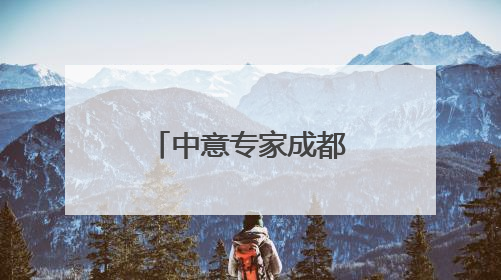 中意专家成都对话 共探文化遗产保护实践