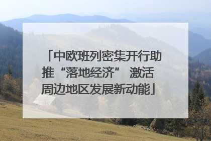 中欧班列密集开行助推“落地经济” 激活周边地区发展新动能