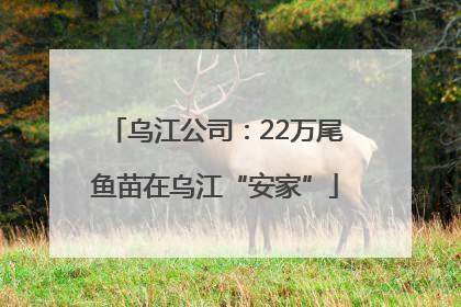 乌江公司：22万尾鱼苗在乌江“安家”
