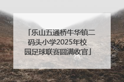 乐山五通桥牛华镇二码头小学2025年校园足球联赛圆满收官