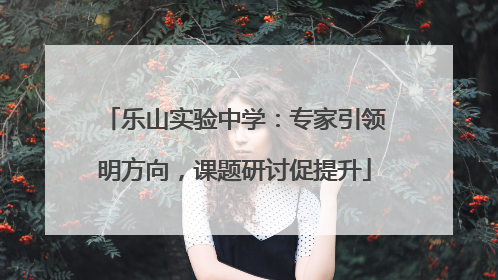 乐山实验中学：专家引领明方向，课题研讨促提升