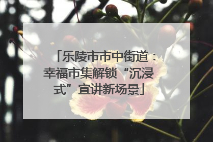乐陵市市中街道：幸福市集解锁“沉浸式”宣讲新场景