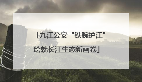 九江公安“铁腕护江”绘就长江生态新画卷