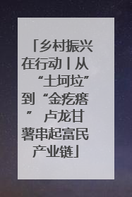 乡村振兴在行动丨从“土坷垃”到“金疙瘩” 卢龙甘薯串起富民产业链