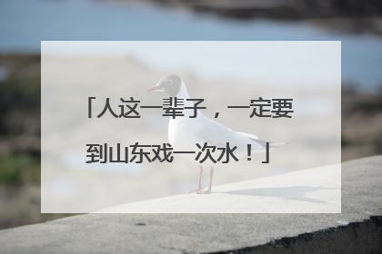 人这一辈子，一定要到山东戏一次水！