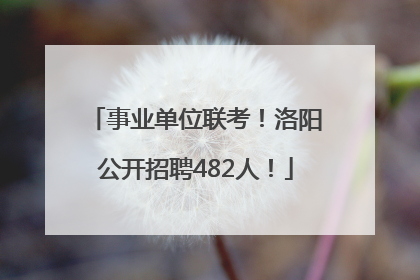 事业单位联考！洛阳公开招聘482人！