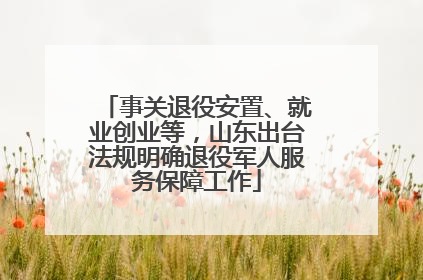 事关退役安置、就业创业等，山东出台法规明确退役军人服务保障工作