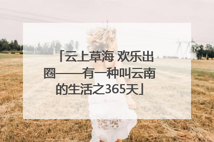 云上草海 欢乐出圈——有一种叫云南的生活之365天