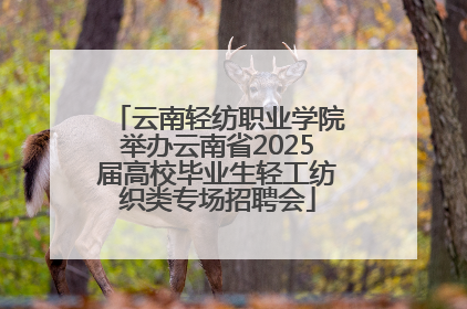 云南轻纺职业学院举办云南省2025届高校毕业生轻工纺织类专场招聘会