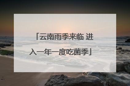 云南雨季来临 进入一年一度吃菌季