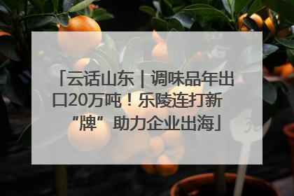 云话山东｜调味品年出口20万吨！乐陵连打新“牌”助力企业出海