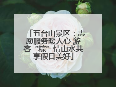 五台山景区：志愿服务暖人心 游客“粽”情山水共享假日美好