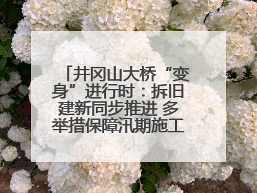 井冈山大桥“变身”进行时：拆旧建新同步推进 多举措保障汛期施工（图）