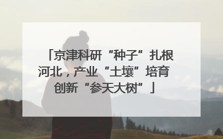京津科研“种子”扎根河北，产业“土壤”培育创新“参天大树”