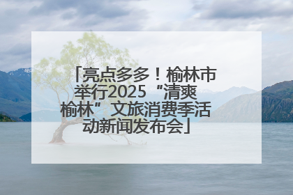 亮点多多！榆林市举行2025“清爽榆林”文旅消费季活动新闻发布会