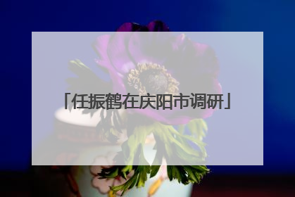 任振鹤在庆阳市调研