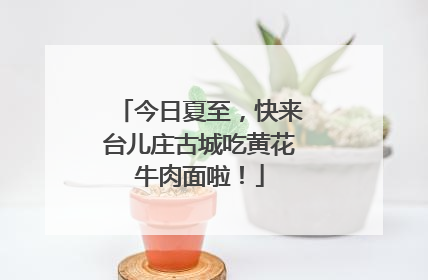 今日夏至，快来台儿庄古城吃黄花牛肉面啦！